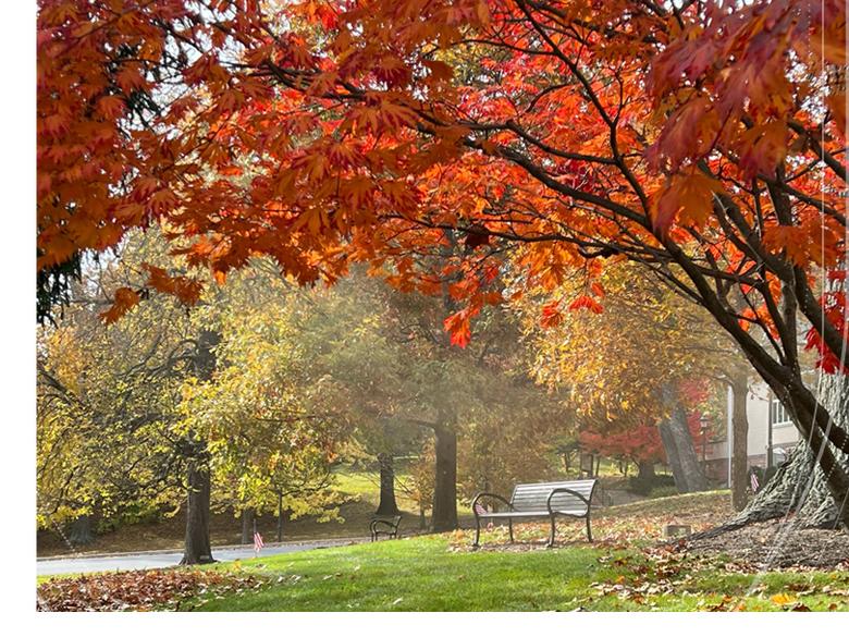 photo of bench in front of Wiestling in the fall 